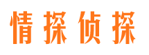 通道寻人公司